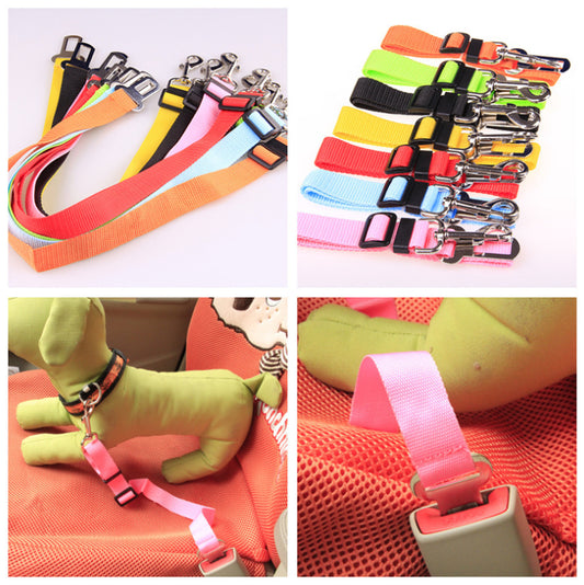 Fixed Strap Polyester Dog Strap Dog Leash Dog Leash - 2 PC SET