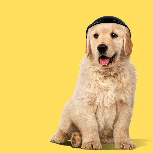 Motorcycle Safety Helmet for small to medium pets