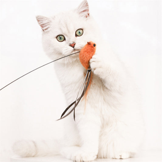 Interactive Free Combination Replacement Head Feather Bell Pendant Cat Stick Toy