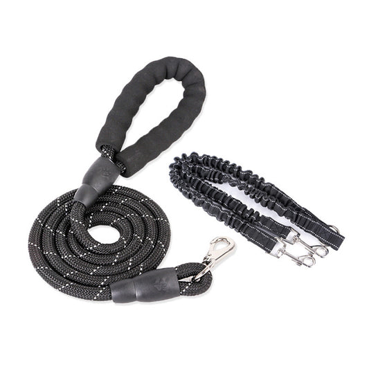 Dogs With One Tow Two Leashes Pets Double Heads